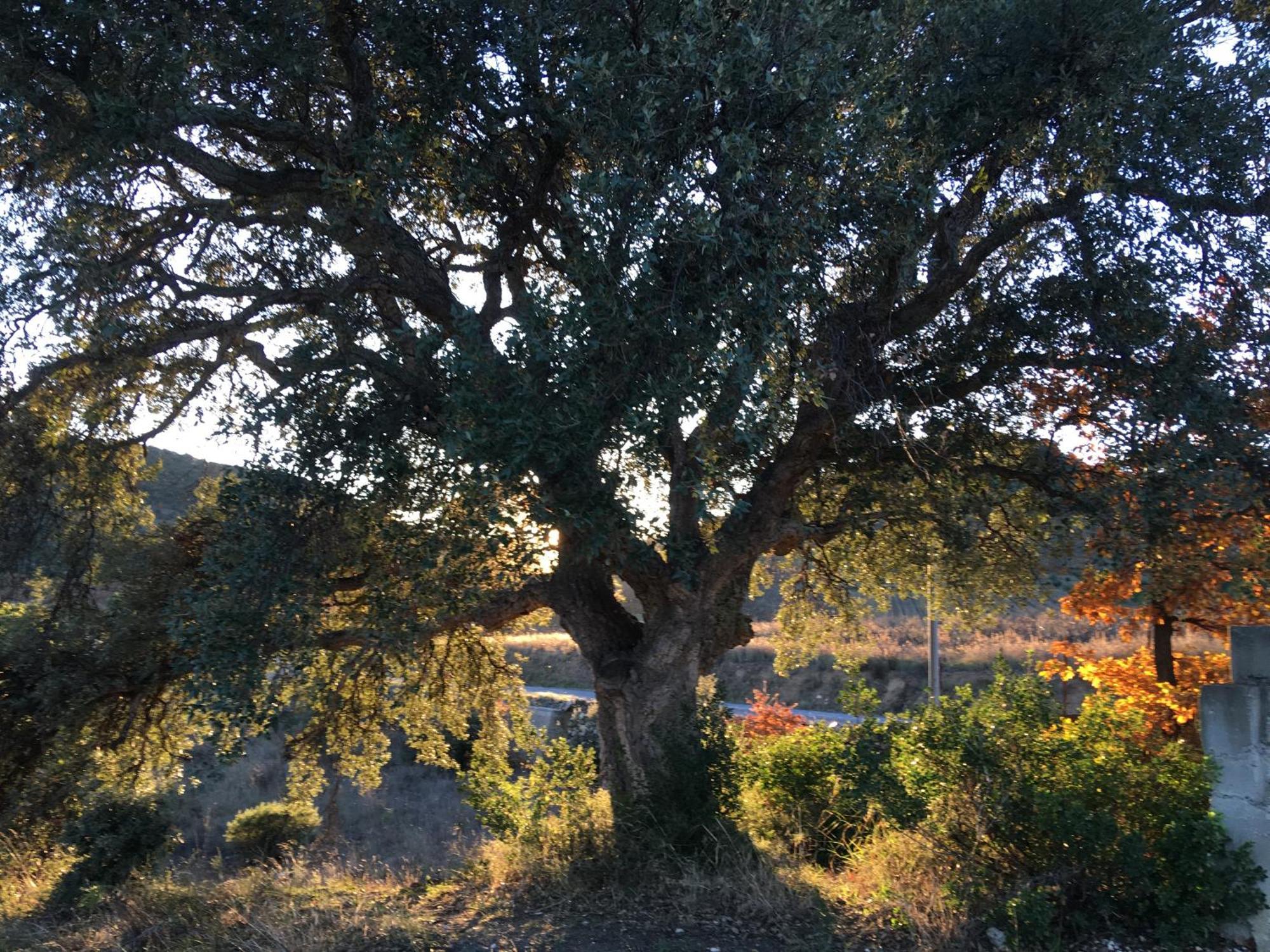 Coeur De Nature Rasigueres Buitenkant foto